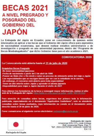 Afiche